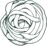 Pasta outline icon Pasta outline icon