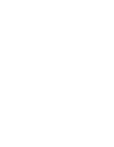 Wine glass