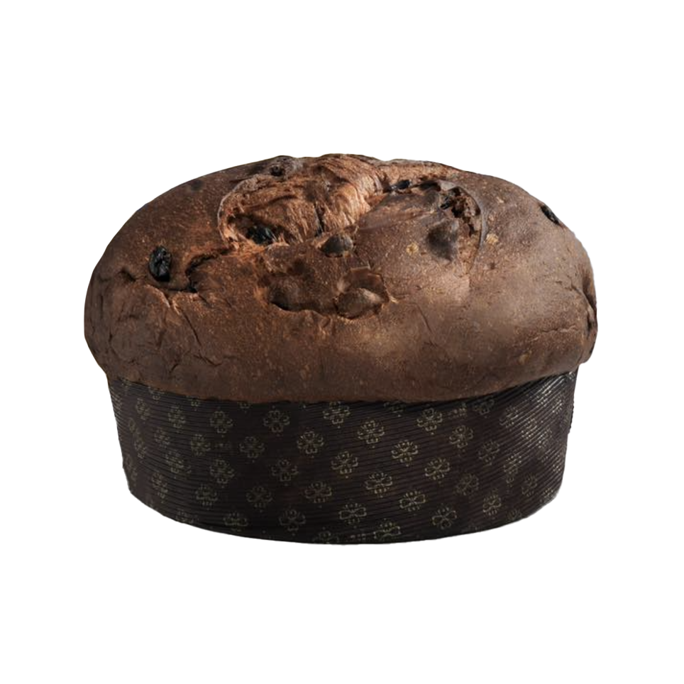 Chocolate Panettone